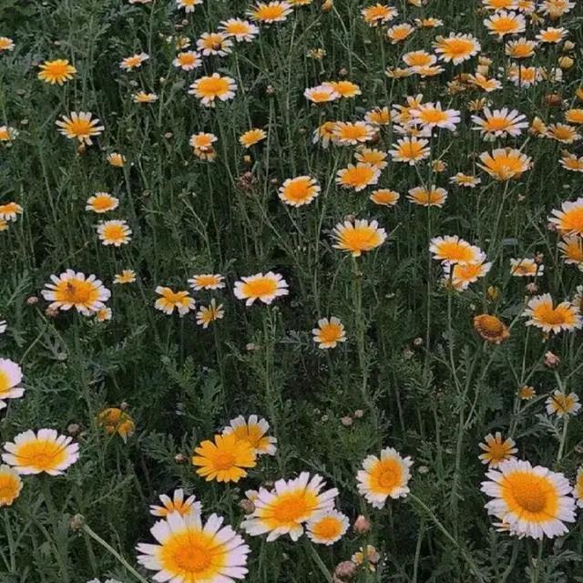 表达自己无奈的句子_无奈短句