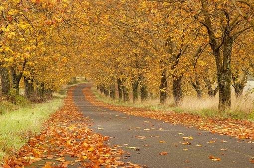 被分手的说说心情短语伤感难过的句子大全