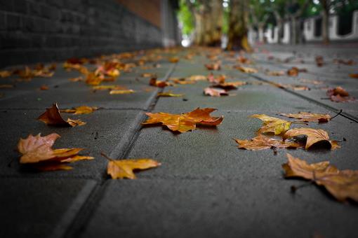 一串丢失的钥匙