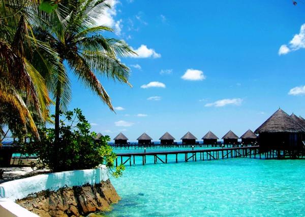 走错的爱情棋子不能悔_1