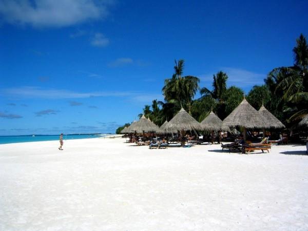 同命相连——千里姻缘一线牵