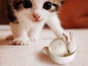 珍藏,飘零的2013