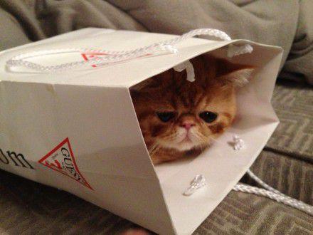 表白的话，表白的句子，男生向女生表白的话