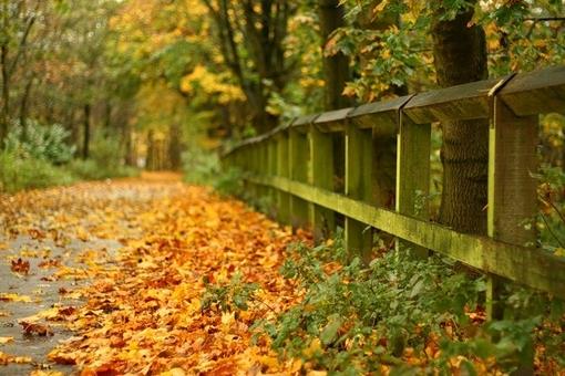 心向佛,便有了佛 有了佛,便能与他对话