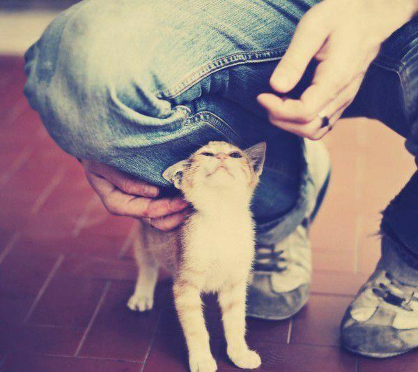 等待,那三寸日光