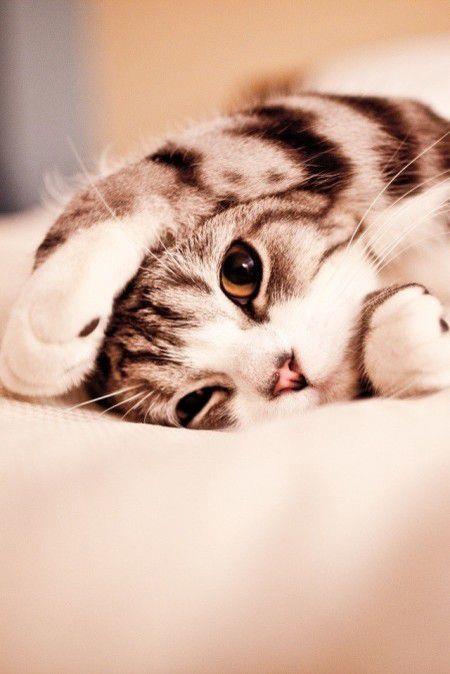 因为爱你我选择放手的伤感心酸语录说说精选