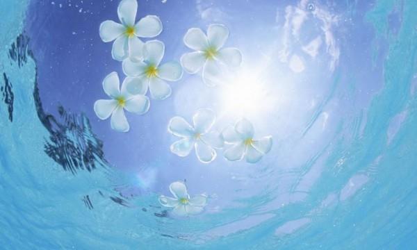 乱系列全文阅读全文目录 玩弄官场人妻少妇