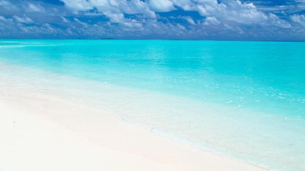 母亲,我一生不变的“爱人”