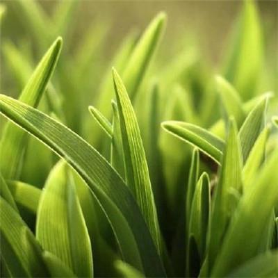 笑得肚子疼的搞笑句子·搞笑句子