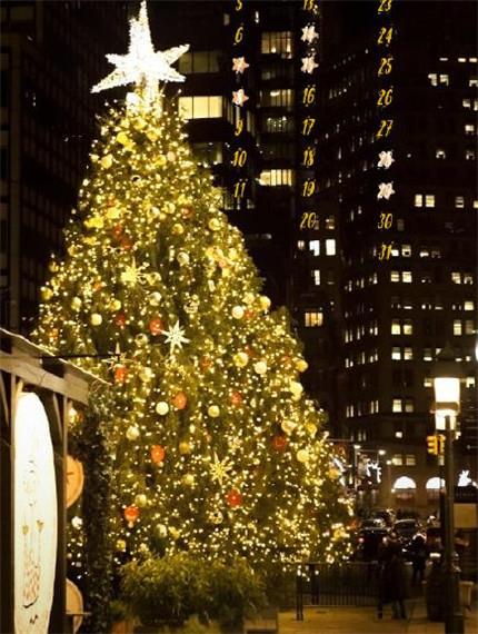 越努力就越幸运,爱情也是?