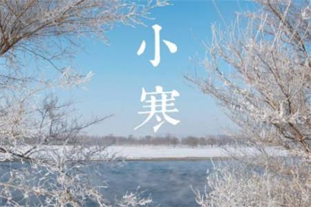 明年同岁