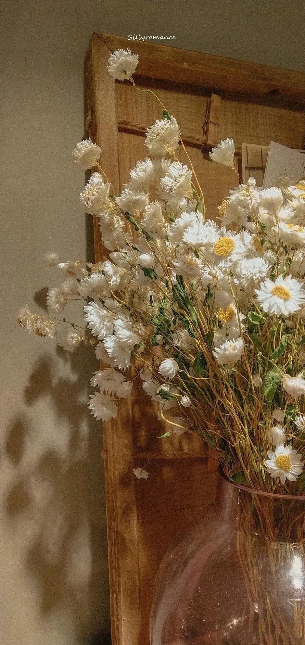 一曲轮回一米光