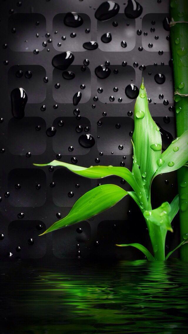 陌上花开，为君书一纸墨香