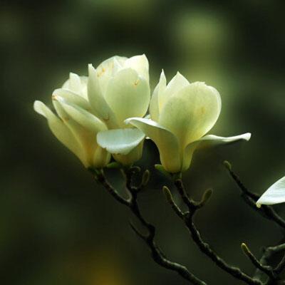 金钱可以考验爱情