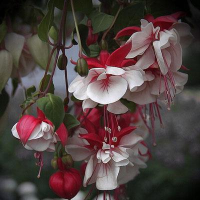 激励人心的励志名言 100句激励人心的励志名言