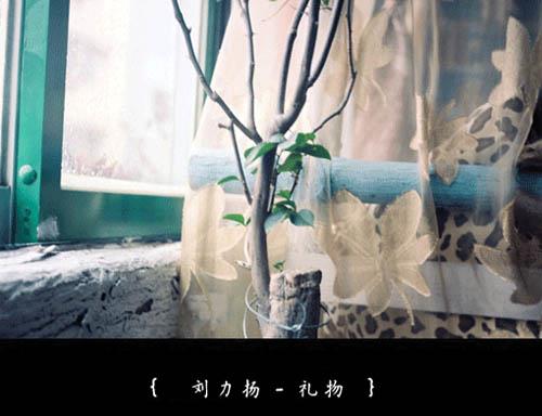 被时光湮灭的爱情