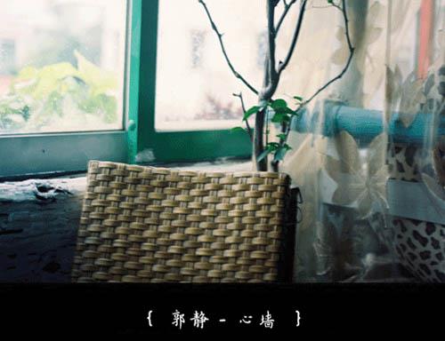 那一年牵手的秘密