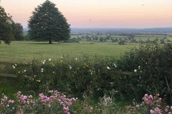 飘渺思绪在回忆里阅乐时光