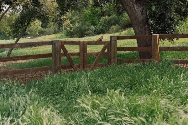 生活，总是在最苦最难时绽放美丽