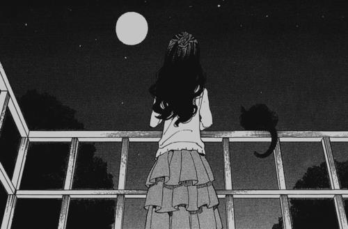 最美雨后彩虹励志文字图片_阳光总在风雨后