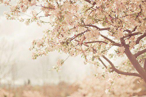 晚安小短句大全/晚安短句