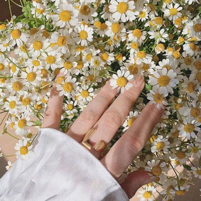 乱系列全文阅读全文目录 玩弄官场人妻少妇