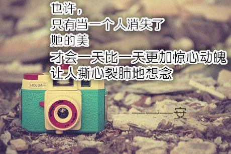 飞走了的爱情鸟