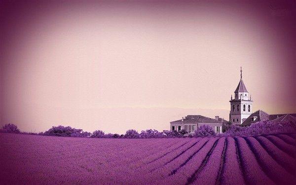 暗恋,是一朵低在尘埃的花