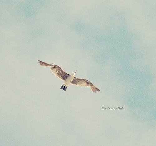 情感口述：我的第一次很爽那个男人在操场上要了我