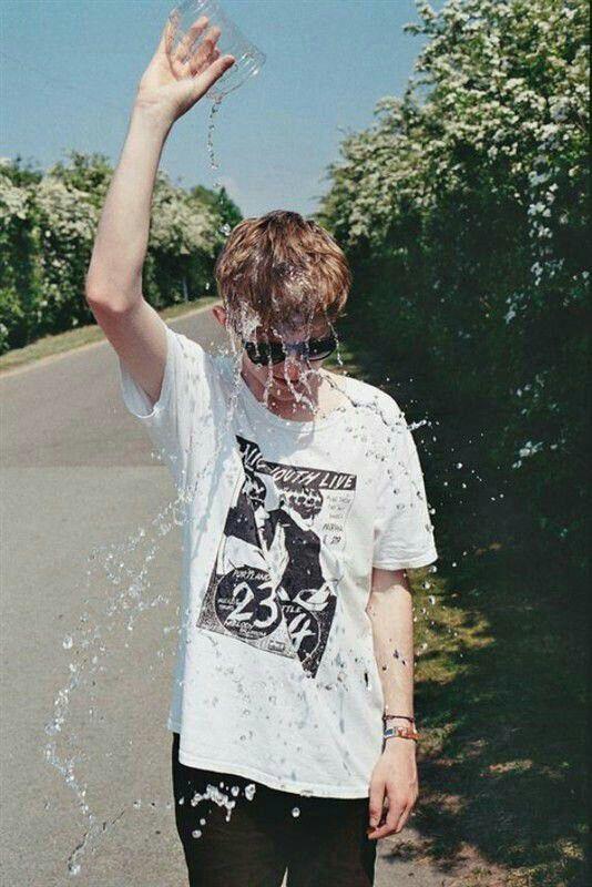 关于曹植的精选诗句大全，曹植短句