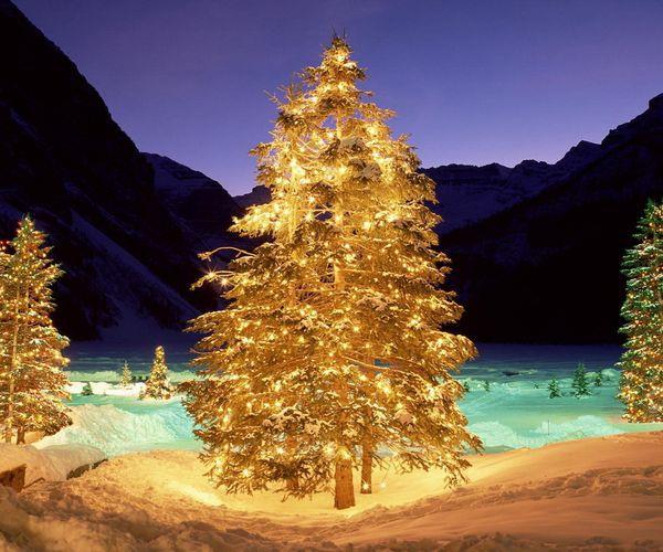 凤凰花开的路口