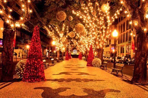 张爱玲语录经典语录,张爱玲最深情的一句话