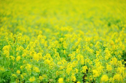 关于孟郊的经典短句大全,孟郊短句