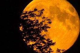 书记员笔记：诉状