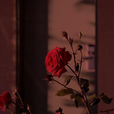 关于激励奋斗的经典语录