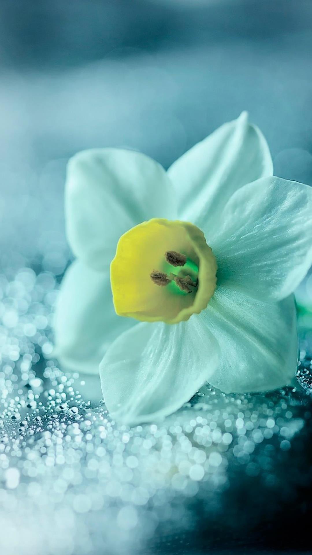 母亲的爱：爱上节节根