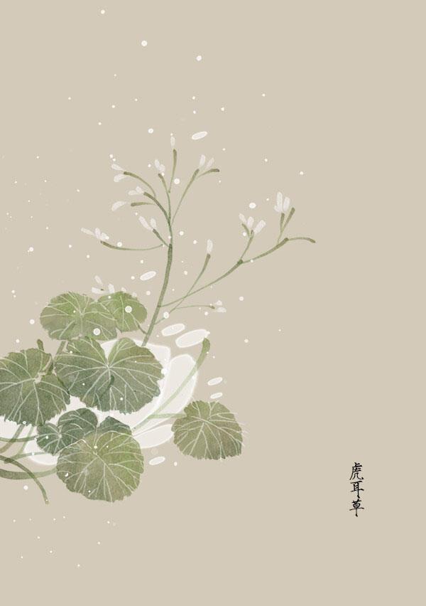 女生宿舍前的树林