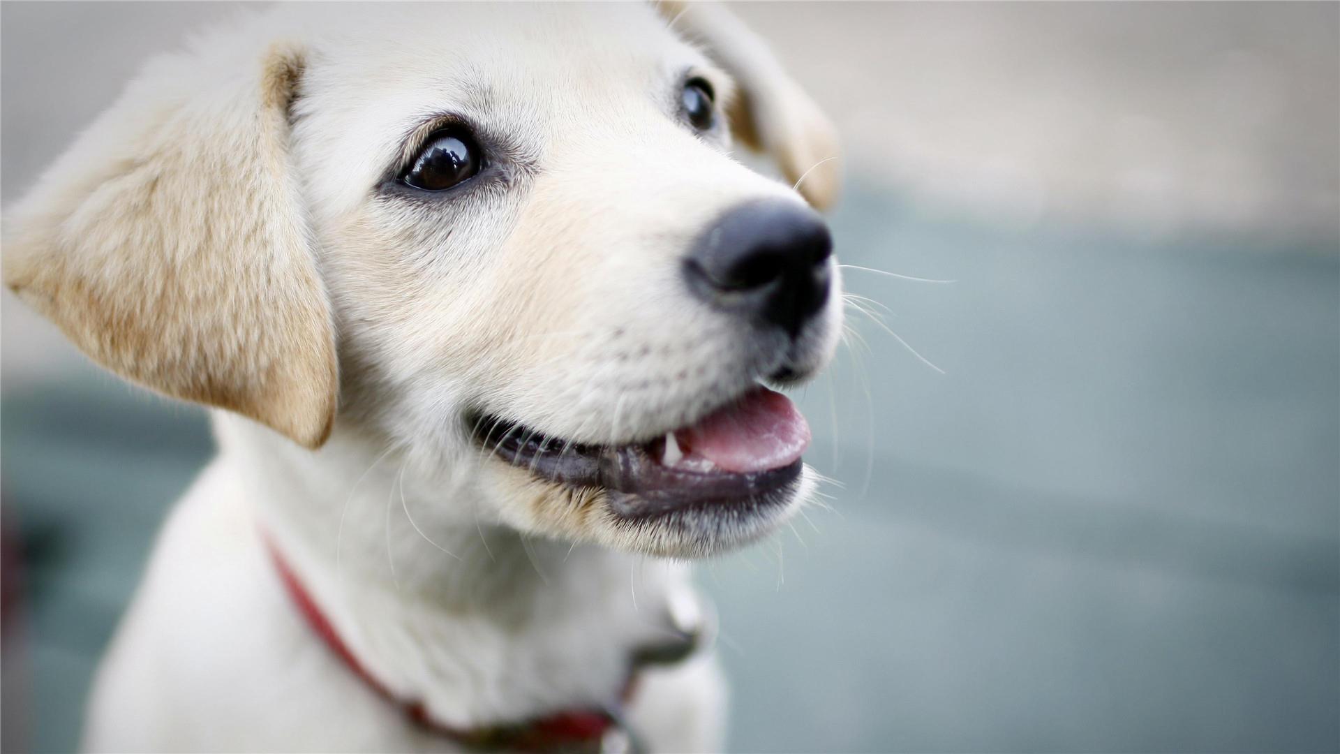 很搞笑的医生的诊治和建议