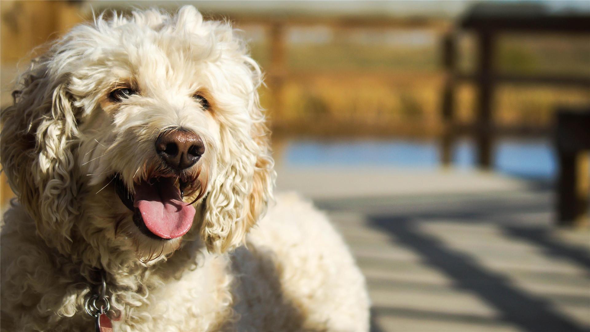 一句表白的句子给女朋友,一句一句话
