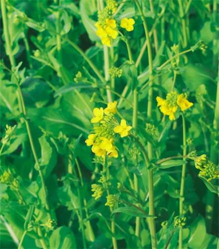 说你可爱的那个人，或许并不是真的觉得你可爱