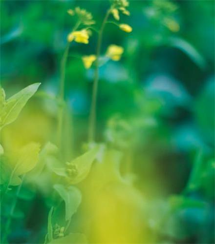 悲剧！小姨子怀孕差点让我背黑锅！