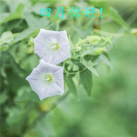 不要忘记等待的初衷