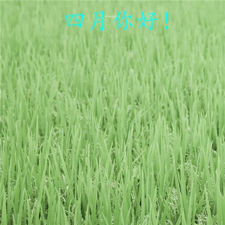 恐怖衣柜