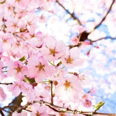 是非问题,其实只是个金钱的数量问题