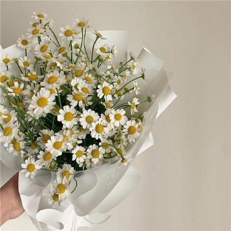 小姨的冥婚