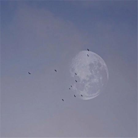 我们到太平间接吻好不好