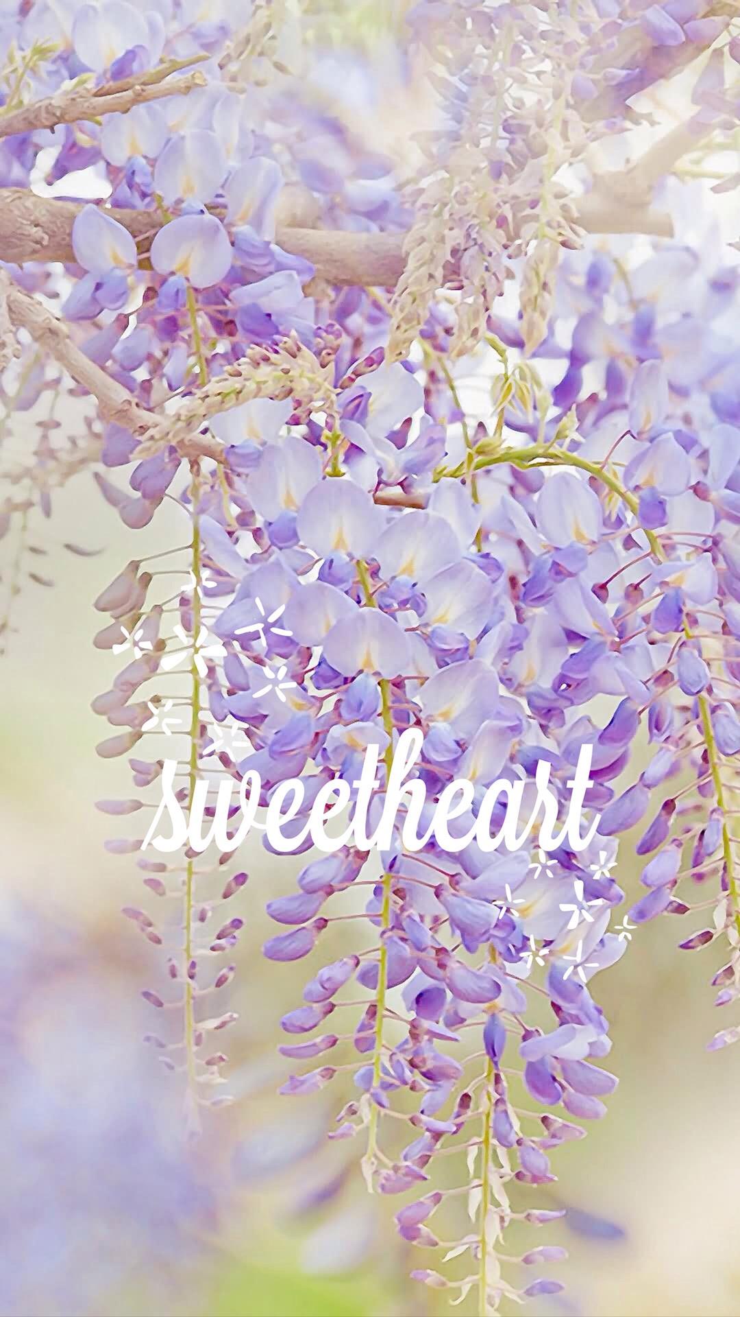 依依落雪,幽幽岁月