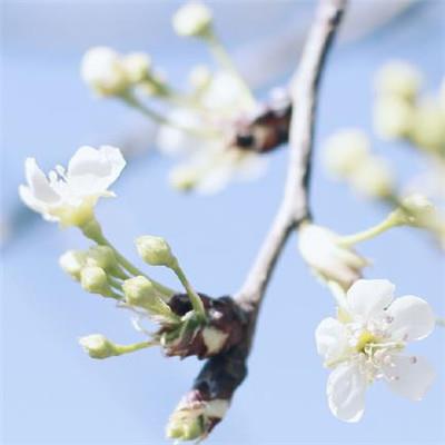 晚安小短句大全/晚安短句