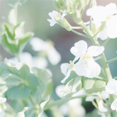 陈俊武同志先进事迹学习心得体会精选8则