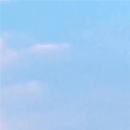 淡淡的执著